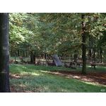 Rehe, Teil 2