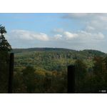 Fernsicht Richtung Wald