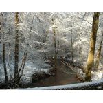 Der K&ouml;llerbach (oder die?)