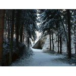 Hurra, Tunnel am Ende des Lichts (o.s.&auml;.)